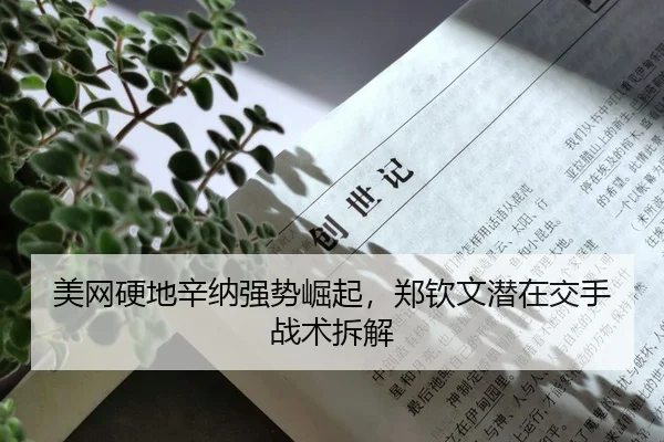 mei-wang-ying-di-xin-na-qiang-shi-jue-qi-zheng-qin-wen-qian-zai-jiao-shou-zhan-shu-chai-jie-2-641.jpg