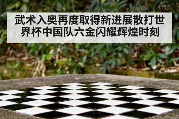 武术入奥再度取得新进展散打世界杯中国队六金闪耀辉煌时刻