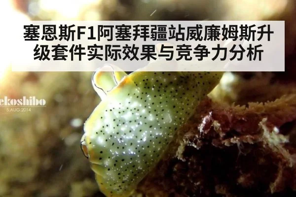 塞恩斯F1阿塞拜疆站威廉姆斯升级套件实际效果与竞争力分析